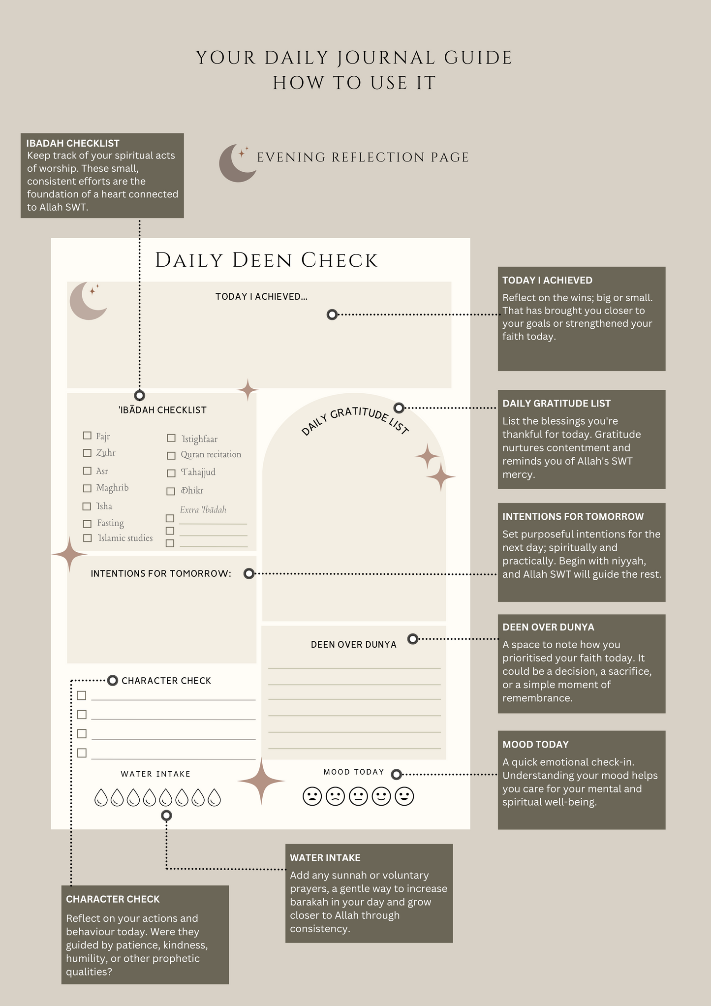 Daily Journal